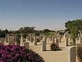 El Alamein_019